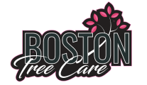 Boston Tree Care Logo