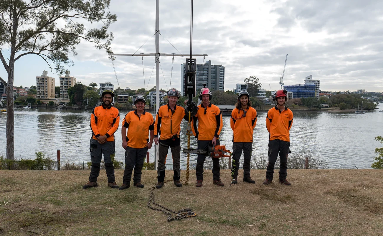 our team 1